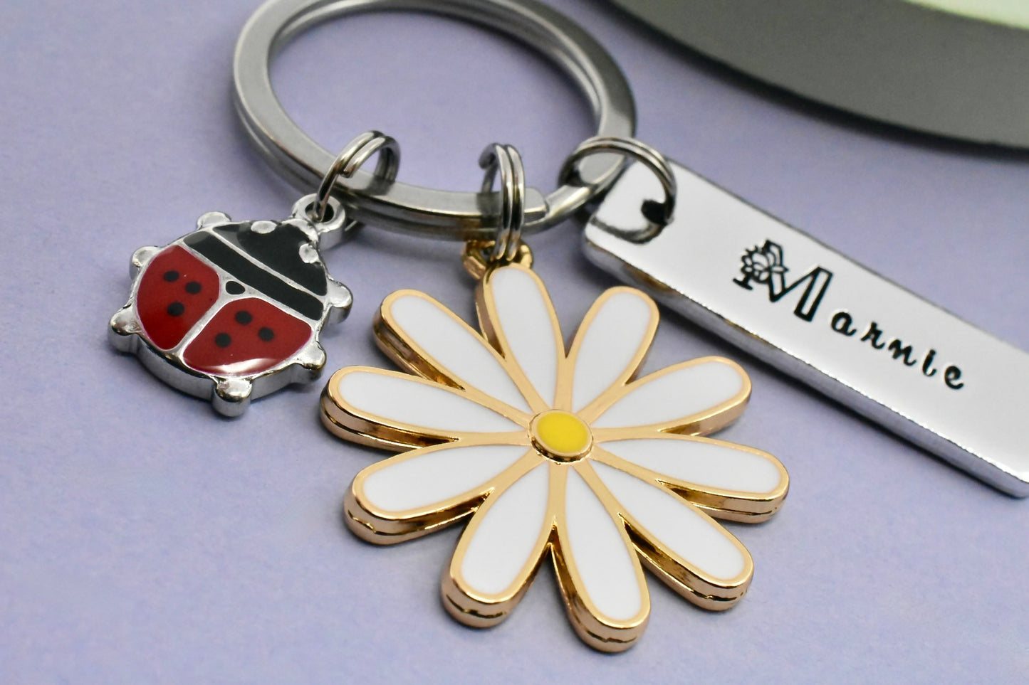 Personalised Daisy and Ladybird Keyring